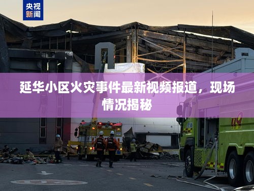 延華小區(qū)火災(zāi)事件最新視頻報道，現(xiàn)場情況揭秘