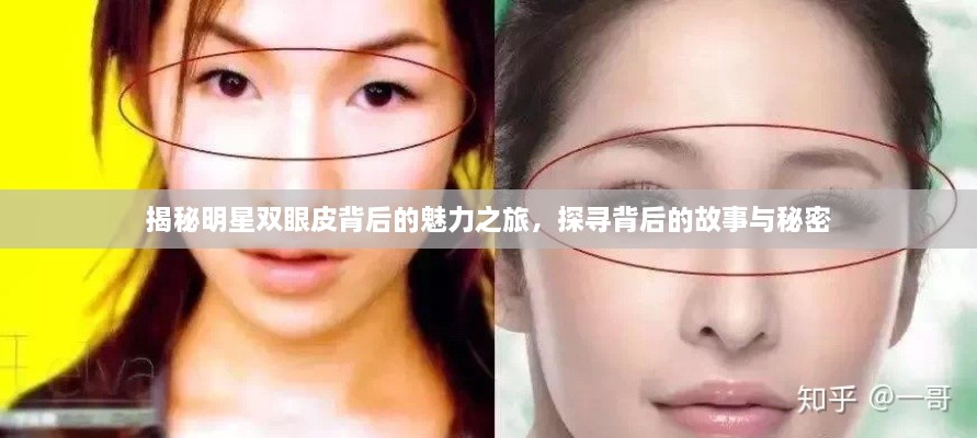 揭秘明星雙眼皮背后的魅力之旅，探尋背后的故事與秘密