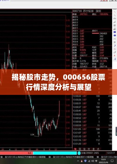 揭秘股市走勢(shì)，000656股票行情深度分析與展望