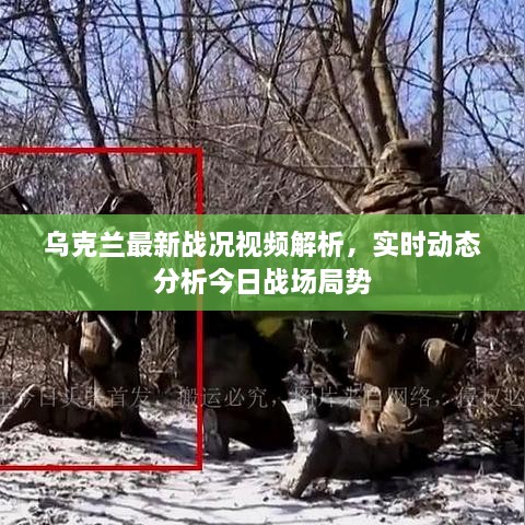 烏克蘭最新戰(zhàn)況視頻解析，實時動態(tài)分析今日戰(zhàn)場局勢