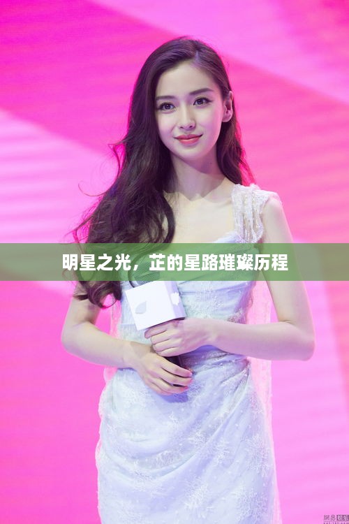 明星之光，芷的星路璀璨歷程