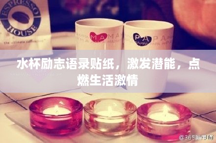 水杯勵志語錄貼紙，激發(fā)潛能，點(diǎn)燃生活激情