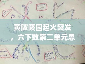 黃陂陵園起火突發(fā)，六下數(shù)第二單元思維導圖 