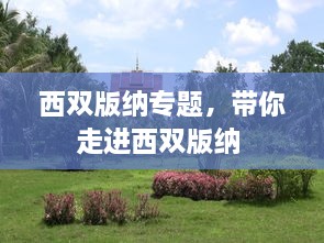 西雙版納專題，帶你走進西雙版納 