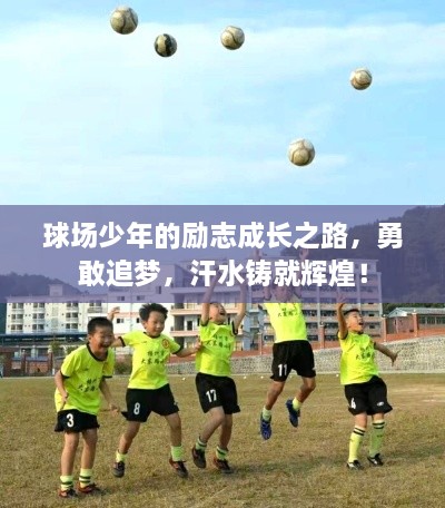 球場少年的勵志成長之路，勇敢追夢，汗水鑄就輝煌！
