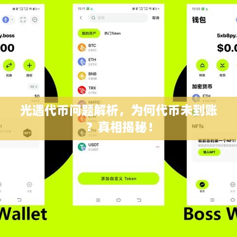光遇代幣問(wèn)題解析，為何代幣未到賬？真相揭秘！
