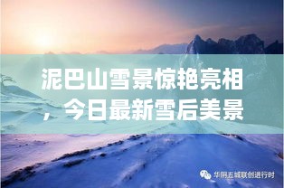 泥巴山雪景驚艷亮相，今日最新雪后美景報道！