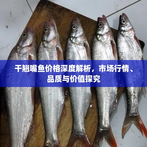 干翹嘴魚價(jià)格深度解析，市場行情、品質(zhì)與價(jià)值探究
