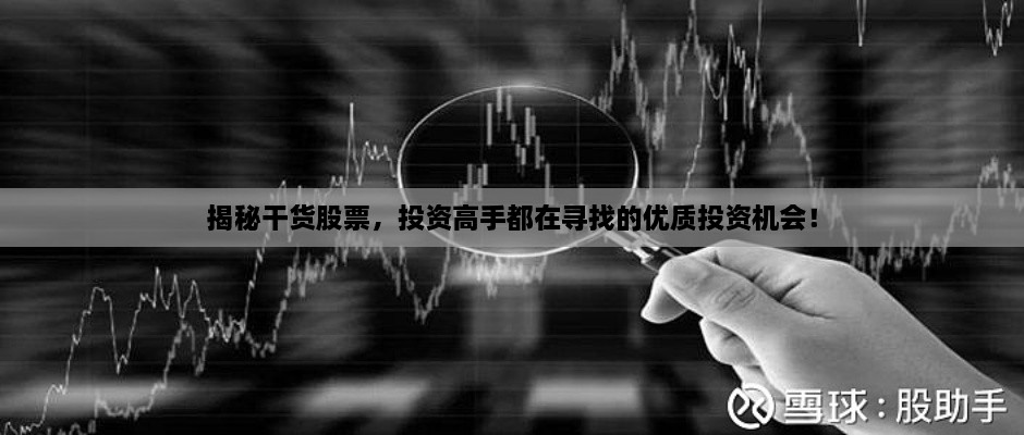 揭秘干貨股票，投資高手都在尋找的優(yōu)質(zhì)投資機(jī)會(huì)！