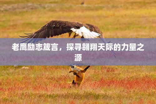 老鷹勵志箴言，探尋翱翔天際的力量之源