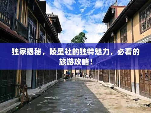 2025年2月 第201頁