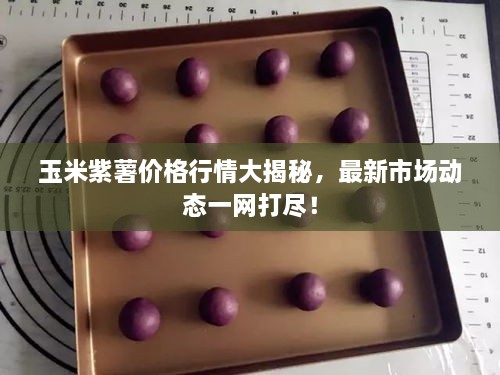 玉米紫薯價格行情大揭秘，最新市場動態(tài)一網(wǎng)打盡！