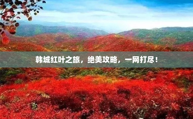 韓城紅葉之旅，絕美攻略，一網(wǎng)打盡！
