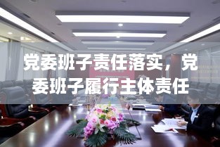 黨委班子責(zé)任落實，黨委班子履行主體責(zé)任的建議 