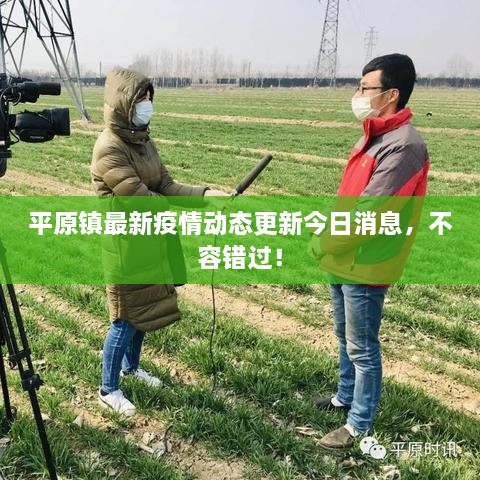 平原鎮(zhèn)最新疫情動(dòng)態(tài)更新今日消息，不容錯(cuò)過(guò)！