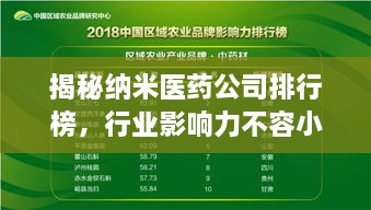 揭秘納米醫(yī)藥公司排行榜，行業(yè)影響力不容小覷！