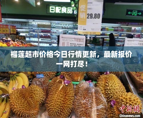 榴蓮超市價格今日行情更新，最新報價一網(wǎng)打盡！