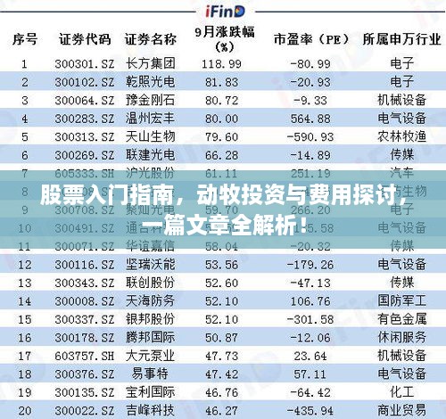 股票入門指南，動牧投資與費(fèi)用探討，一篇文章全解析！