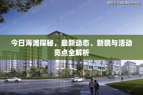 今日海灘探秘，最新動態(tài)、新貌與活動亮點全解析