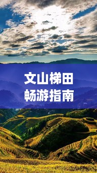 文山梯田暢游指南，探秘絕美梯田風光，體驗獨特民俗風情！