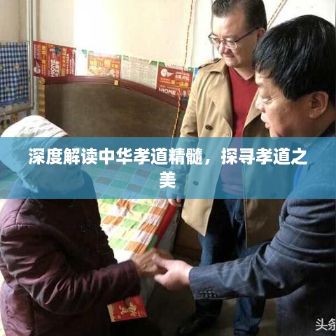 深度解讀中華孝道精髓，探尋孝道之美