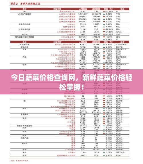 今日蔬菜價格查詢網(wǎng)，新鮮蔬菜價格輕松掌握！