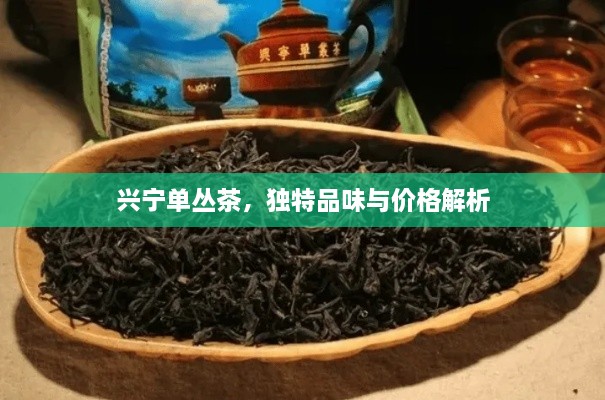 興寧單叢茶，獨(dú)特品味與價(jià)格解析