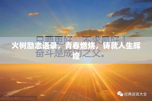 火樹(shù)勵(lì)志語(yǔ)錄，青春燃燒，鑄就人生輝煌