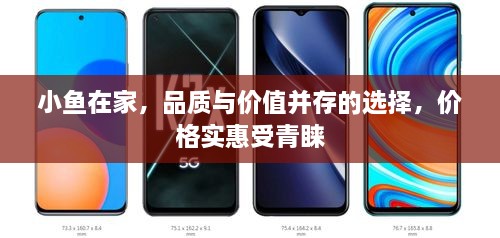小魚在家，品質(zhì)與價(jià)值并存的選擇，價(jià)格實(shí)惠受青睞