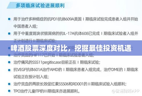 啤酒股票深度對比，挖掘最佳投資機遇