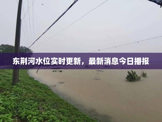 東荊河水位實(shí)時(shí)更新，最新消息今日播報(bào)
