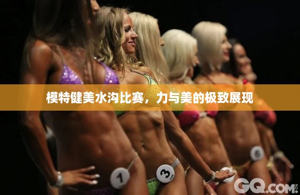 模特健美水溝比賽，力與美的極致展現(xiàn)