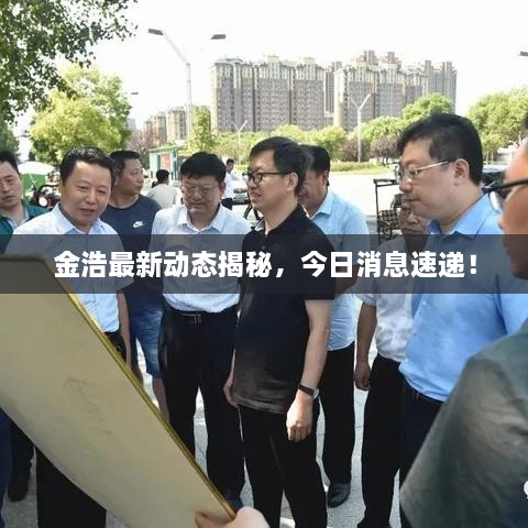 金浩最新動態(tài)揭秘，今日消息速遞！