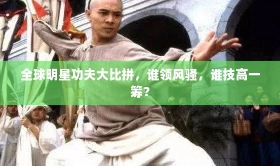 全球明星功夫大比拼，誰領(lǐng)風(fēng)騷，誰技高一籌？