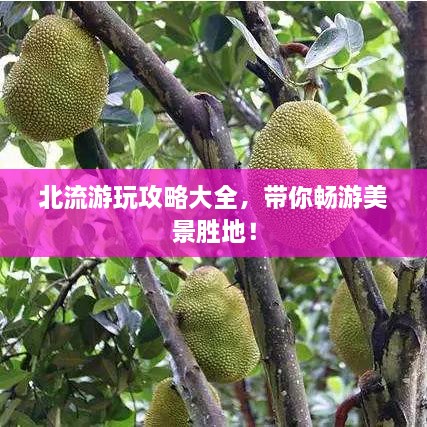 北流游玩攻略大全，帶你暢游美景勝地！