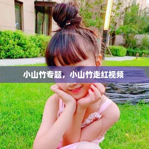 小山竹專題，小山竹走紅視頻 