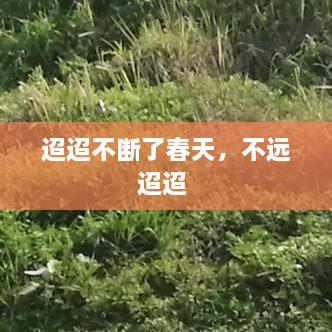 迢迢不斷了春天，不遠迢迢 