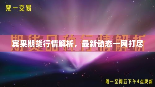 賓果期貨行情解析，最新動態(tài)一網(wǎng)打盡