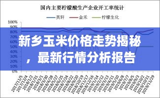 新鄉(xiāng)玉米價(jià)格走勢(shì)揭秘，最新行情分析報(bào)告