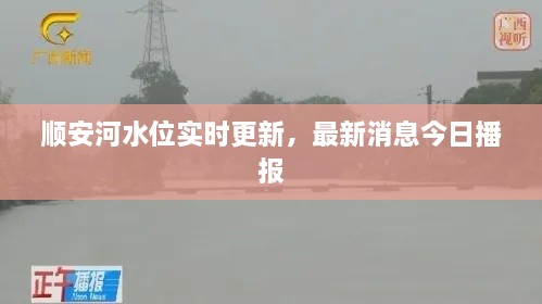 順安河水位實(shí)時(shí)更新，最新消息今日播報(bào)