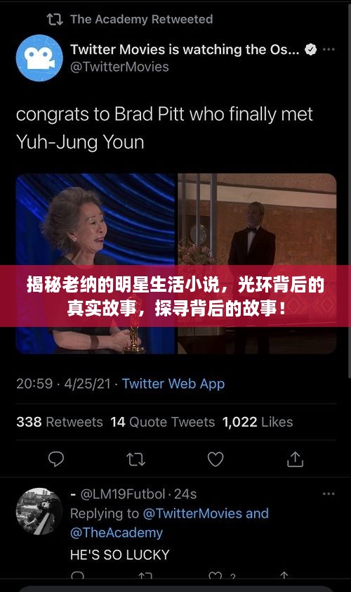 揭秘老納的明星生活小說，光環(huán)背后的真實故事，探尋背后的故事！