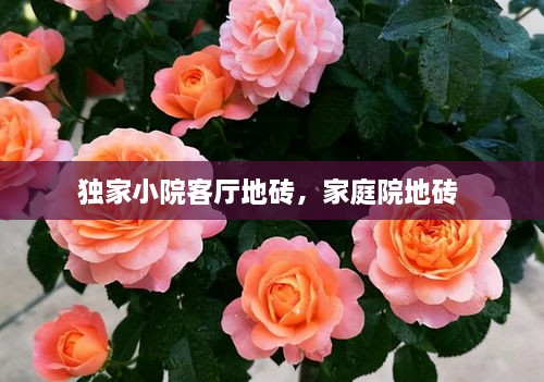 獨家小院客廳地磚，家庭院地磚 