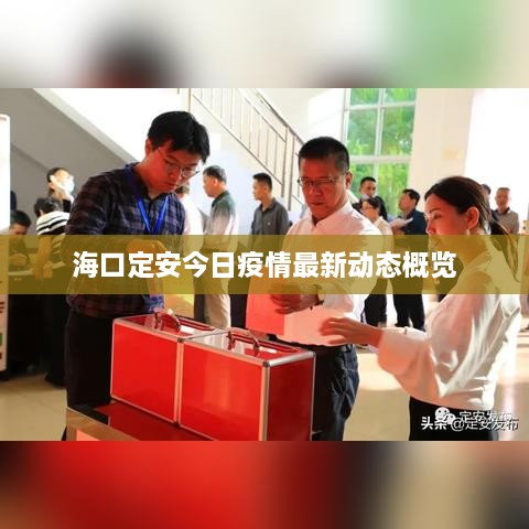 ?？诙ò步袢找咔樽钚聞討B(tài)概覽
