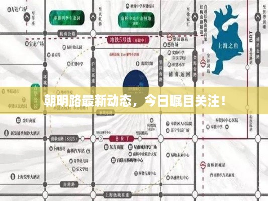朝明路最新動態(tài)，今日矚目關注！