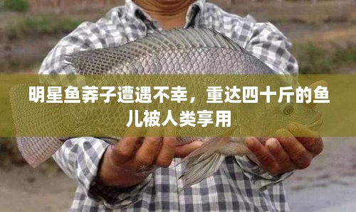 明星魚莽子遭遇不幸，重達(dá)四十斤的魚兒被人類享用