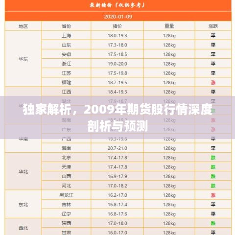 獨(dú)家解析，2009年期貨股行情深度剖析與預(yù)測(cè)