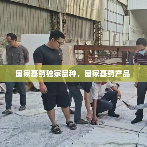 國家基藥獨(dú)家品種，國家基藥產(chǎn)品 
