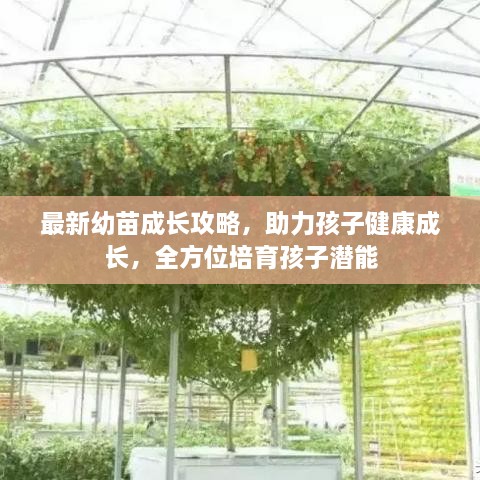最新幼苗成長(zhǎng)攻略，助力孩子健康成長(zhǎng)，全方位培育孩子潛能