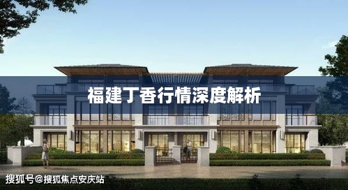 福建丁香行情深度解析
