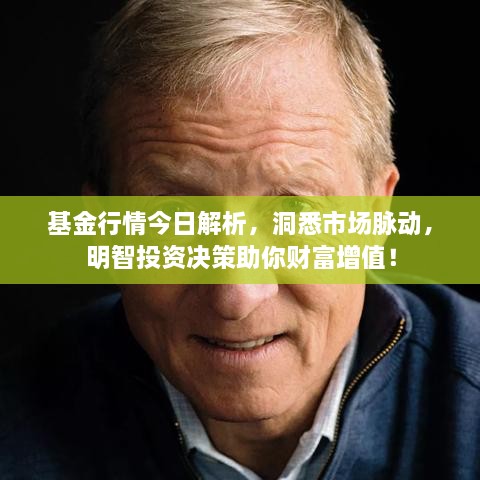 基金行情今日解析，洞悉市場(chǎng)脈動(dòng)，明智投資決策助你財(cái)富增值！